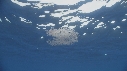 KRILL
