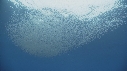 KRILL