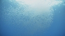 KRILL