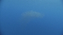 KRILL