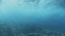 VAGUES