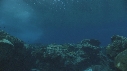 VAGUES, POISSONS