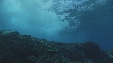VAGUES