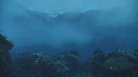 VAGUES
