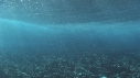 VAGUES
