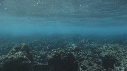 VAGUES, PLONGEUR