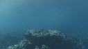 VAGUES