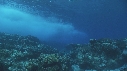 VAGUES