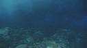 VAGUES