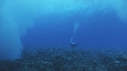 PLONGEUR, VAGUES