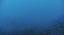 PLONGEUR, VAGUES