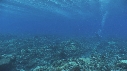 PLONGEUR, VAGUES