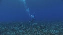PLONGEUR, VAGUES