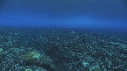 VAGUES