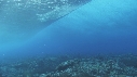 VAGUES