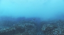 VAGUES, PLONGEUR