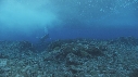 VAGUES, PLONGEUR