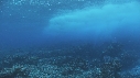 VAGUES