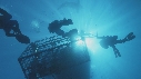 REQUIN BLANC, PLONGEUR, BATEAU, CAGE