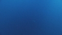 REQUIN BLANC, PLONGEUR, BATEAU