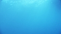 PLONGEUR, BATEAU, POISSON