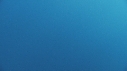 REQUIN BLANC, PLONGEUR