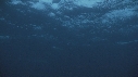 MER
