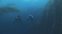 KELP, PLONGEURS