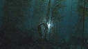 KELP, PLONGEUR