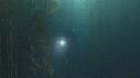 KELP, PLONGEUR