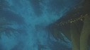 KELP