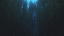 KELP, PLONGEURS