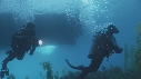 KELP, PLONGEURS, BATEAU