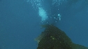 KELP, PLONGEURS