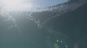 KRILL