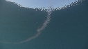 KRILL