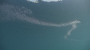 KRILL