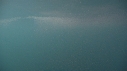 KRILL
