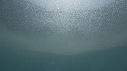 KRILL
