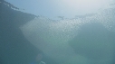 KRILL