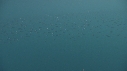 BANC DE POISSONS