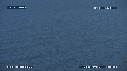 BALEINE BLEUE