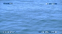 BALEINE BLEUE