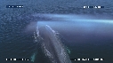 BALEINE BLEUE