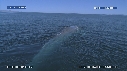 BALEINE BLEUE