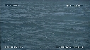 BALEINE BLEUE