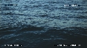 BALEINE BLEUE, BALEINEAU