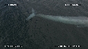 BALEINE BLEUE