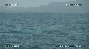 BALEINE BLEUE