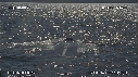 BALEINE BLEUE